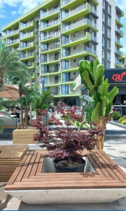 Alezzy Beach Apartament Prima Linie La Mare Navodari Bagian luar foto